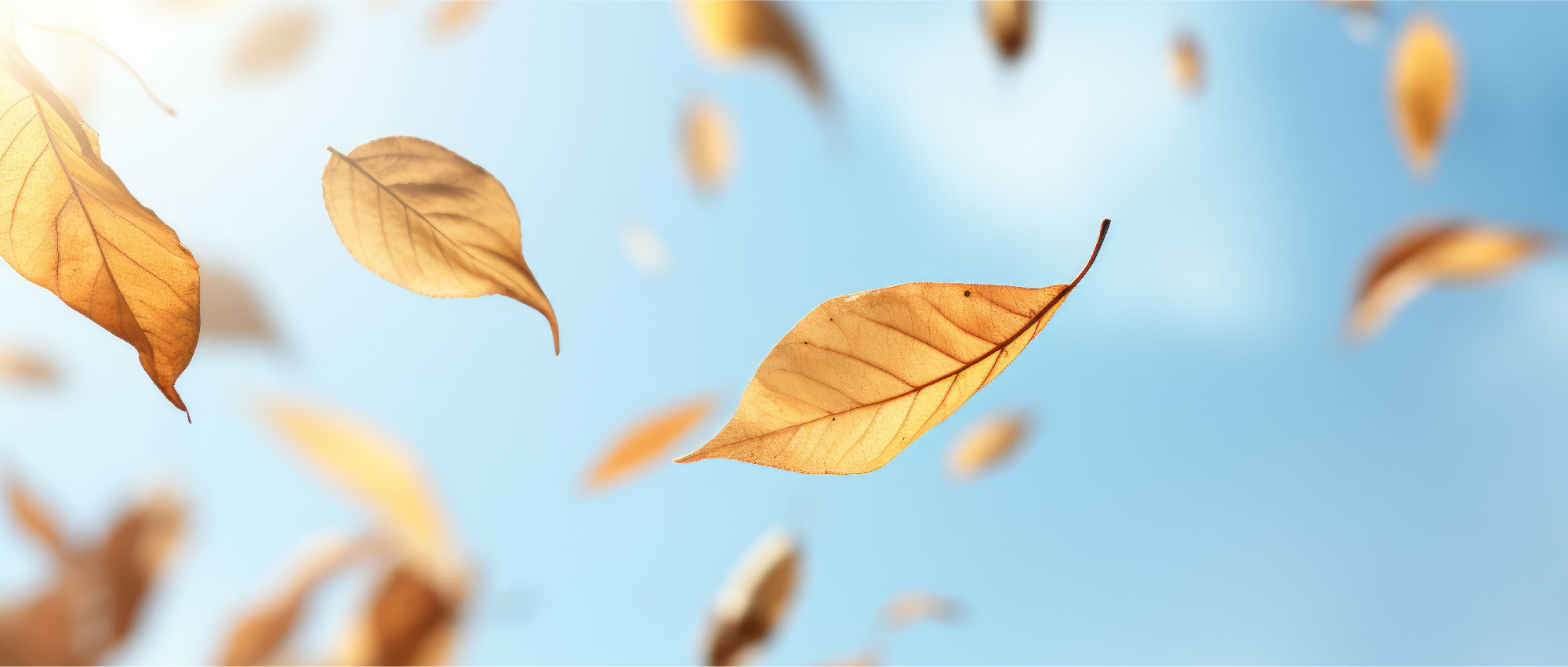 Feines Gehör bewahren Feines Gehör bewahren